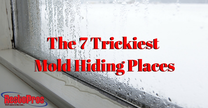 The 7 Trickiest Mold Hiding Places