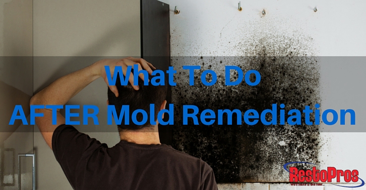 What to do AFTER Mold Remediation