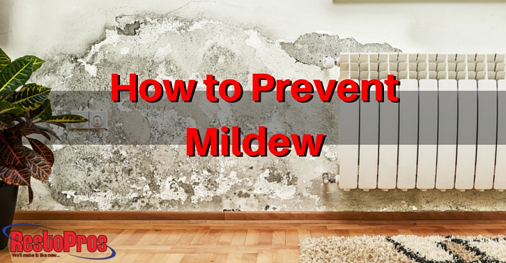 Tips for Preventing Mildew