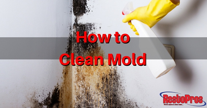 How to Clean Small Mold Infestations