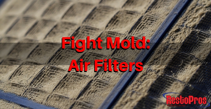Fighting Mold with Clean Air