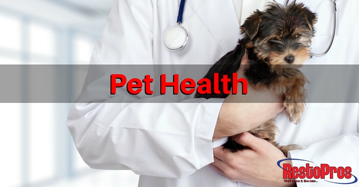 Pets and Mold