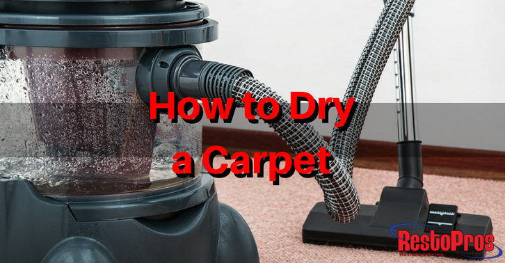 How to Dry a Carpet