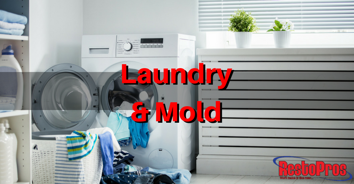 Avoid Inviting Mold to your Laundry