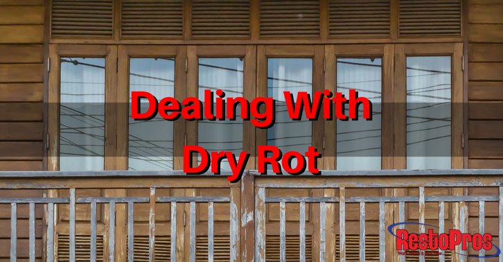 Dealing with Dry Rot
