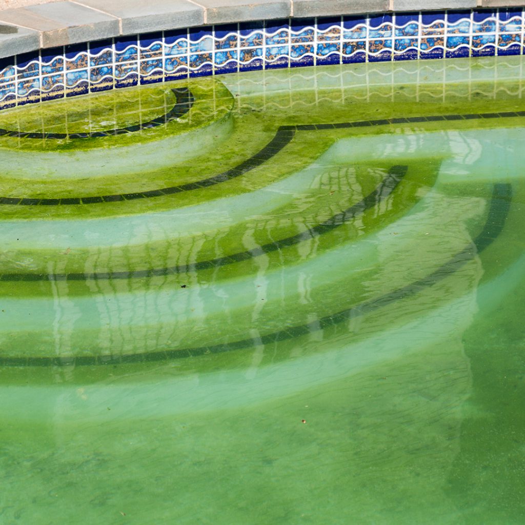 RestoPros-Treating-Swimming-Pool-Mold-and-Algae_Thumb ...