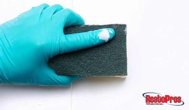 common misconceptions about mold
