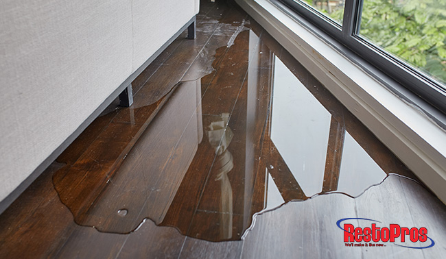 Ways to Prevent Water Damage 