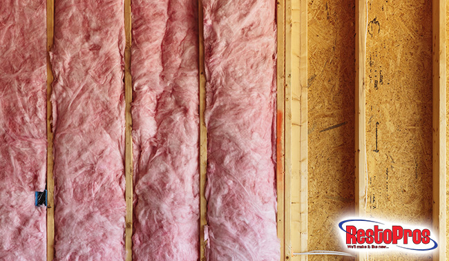 Can Mold Grow in Insulation