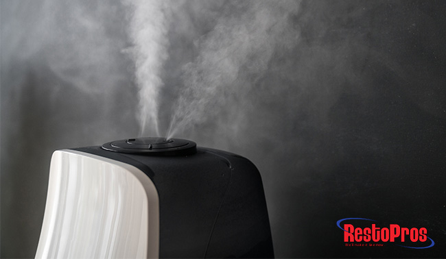 How to Avoid Mold in Your Humidifier