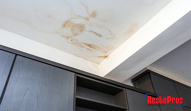 4 Signs You May Need Water Damage Restoration (& Mold Remediation)